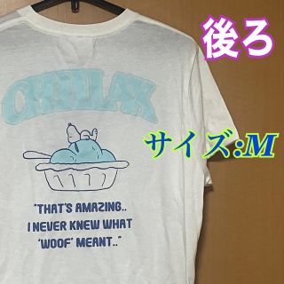 スヌーピー(SNOOPY)の【新品タグ付き】 スヌーピー　半袖　tシャツ  M メンズ　レディース　アイス(Tシャツ/カットソー(半袖/袖なし))