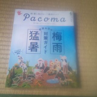 パコマ　2023.6月号　非売品(アート/エンタメ/ホビー)