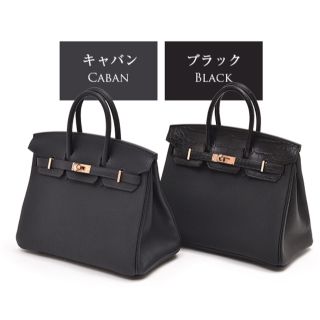 【新品・未使用品】エヴリンTPM キャバン シルバー ミニエヴリン 黒 銀 16