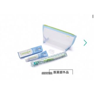 Amway スプリーデントトラベルセットの袋(その他)