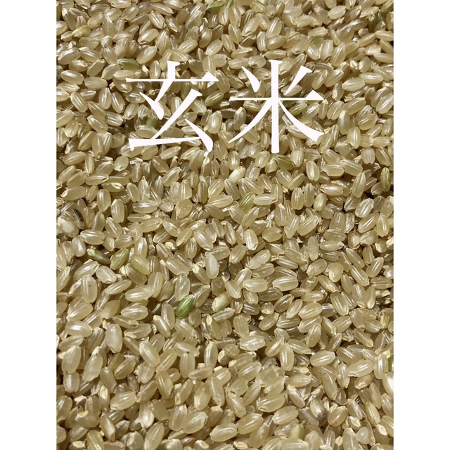 令和4年産  秋田県産　あきたこまち玄米　10キロ  食品/飲料/酒の食品(米/穀物)の商品写真