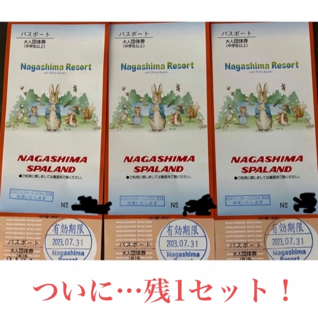 ナガシマスパーランド １日パスポート（大人）3枚セット-