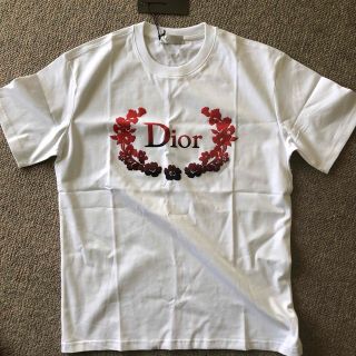 メンズ半袖Tシャツ、カットソー、Diorロゴ入り、外国のXS、値下げしました！(Tシャツ/カットソー(半袖/袖なし))