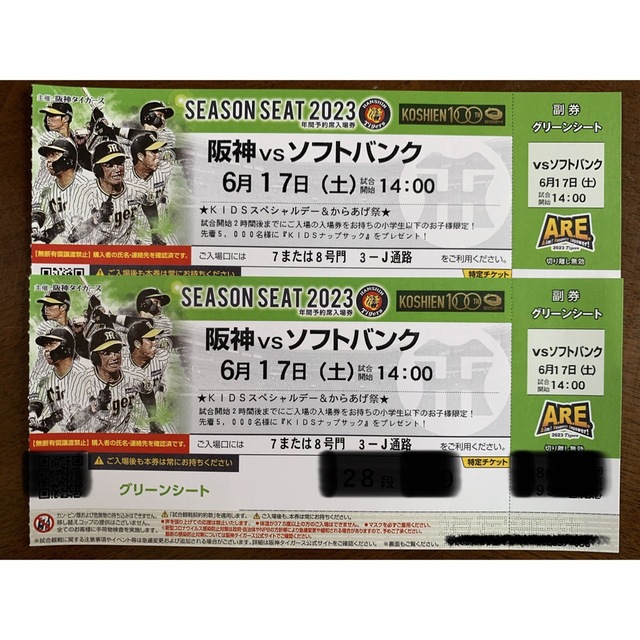 阪神タイガース(ハンシンタイガース)の6月17日　甲子園　阪神vs  ソフトバンク　グリーンシート通路側2席 チケットのスポーツ(野球)の商品写真