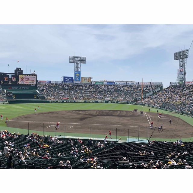 阪神タイガース(ハンシンタイガース)の6月17日　甲子園　阪神vs  ソフトバンク　グリーンシート通路側2席 チケットのスポーツ(野球)の商品写真