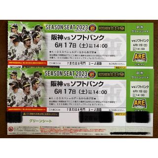 ハンシンタイガース(阪神タイガース)の6月17日　甲子園　阪神vs  ソフトバンク　グリーンシート通路側2席(野球)