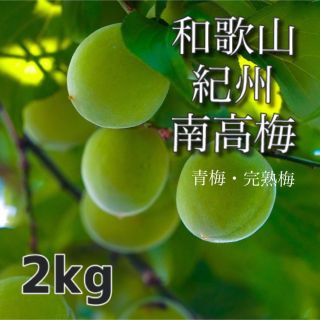 大サイズ【訳あり】青梅 2kg完熟梅 和歌山県産紀州南高梅 梅干し 手作り (フルーツ)