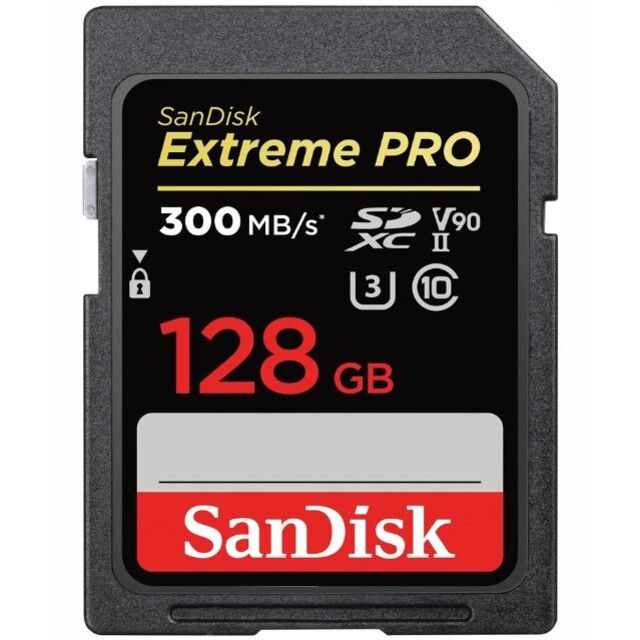 SANDISK　SDSDXDK-128G-JNJIP [128GB]