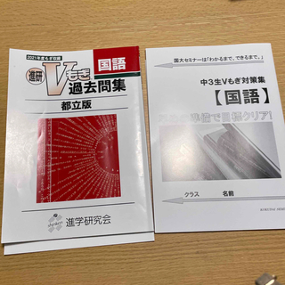 Ｖ模擬　国語　過去問題集と対策集(語学/参考書)