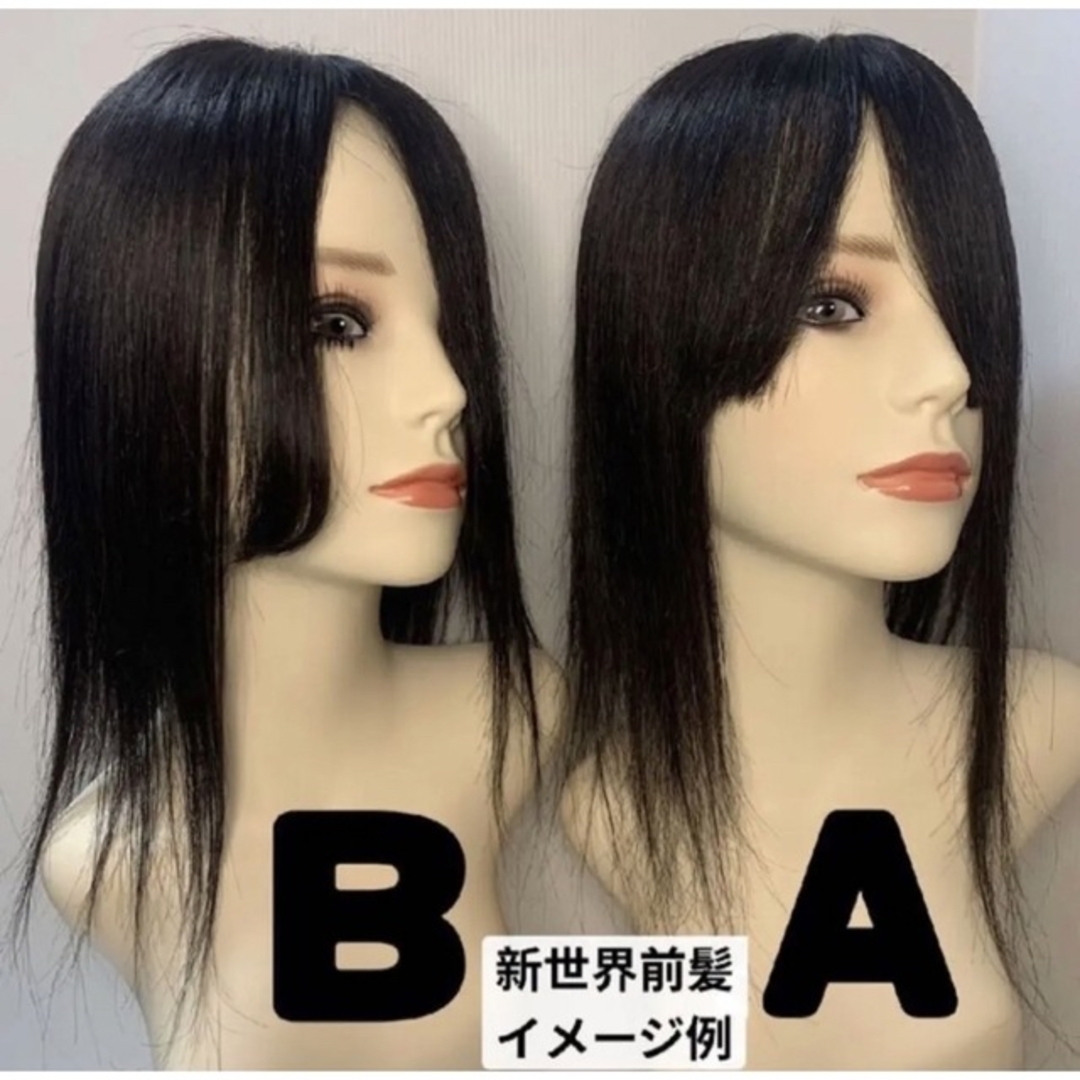 新世界ヘアピース9*14最長40cm プレミア絶対バレないシリーズの通販 by