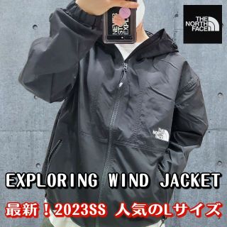 ザノースフェイス(THE NORTH FACE)のノースフェイス　マウンテンパーカー(マウンテンパーカー)