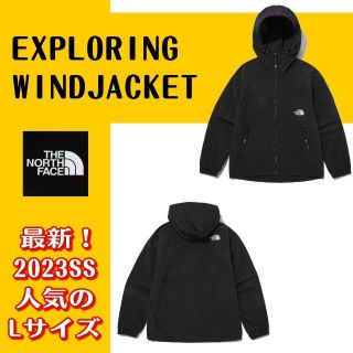 ザノースフェイス(THE NORTH FACE)のTHE NORTH FACE　マウンテンパーカー(マウンテンパーカー)