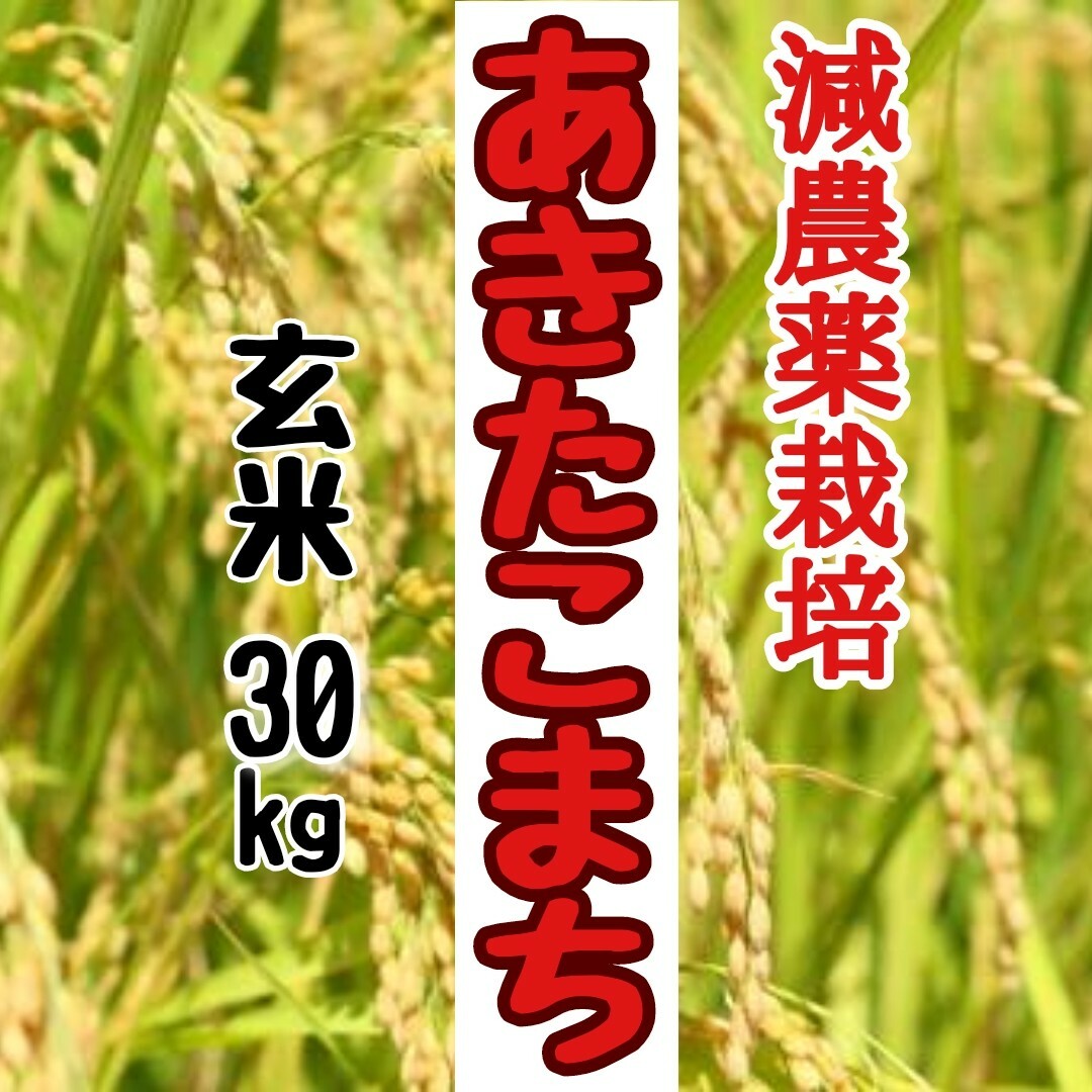 岡山県産あきたこまち玄米20kg(令和4年産)　米/穀物