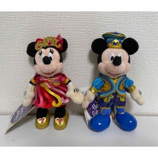 ディズニー(Disney)の★美品★ディズニーリゾート★35周年★ぬいぐるみバッジ(ぬいぐるみ)