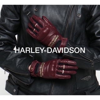 ハーレーダビッドソン(Harley Davidson)のHARLEY-DAVIDSON ハーレーダビッドソン　120周年記念グローブ(装備/装具)