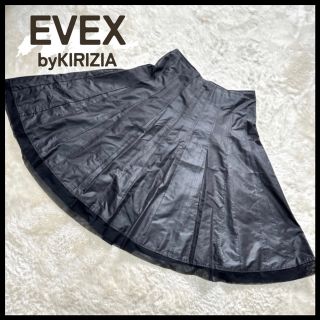 エヴェックスバイクリツィア(EVEX by KRIZIA)のEVEX by KIRIZIA エヴェックス ロングスカート L 裏地あり(ロングスカート)