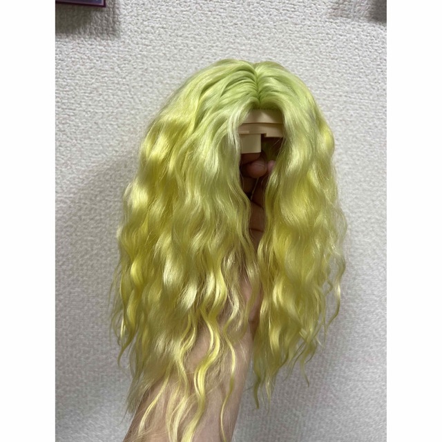 9nainaidoll モヘアウィッグ haさま専用