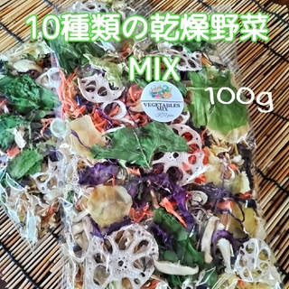 【10種類の乾燥野菜MIX】100g 無添加 無着色 自然の美味しさと香り(野菜)