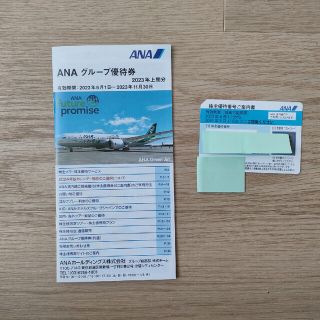 エーエヌエー(ゼンニッポンクウユ)(ANA(全日本空輸))のANA 株主優待券(その他)