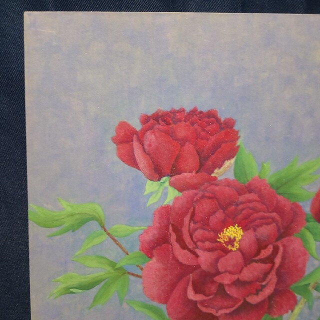 284 絵画 日本画 静物画 作者不明 花 牡丹 額装 額縁付き