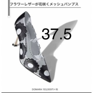 ドゥロワー(Drawer)のマノロブラニク　パンプス　37.5  サンダル　ハンギシ(ハイヒール/パンプス)