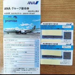 ANA 株主優待券　2枚セット/ 24年5月31日期限(その他)