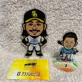 フクオカソフトバンクホークス(福岡ソフトバンクホークス)の福岡ソフトバンクホークス★ガルビス選手(記念品/関連グッズ)