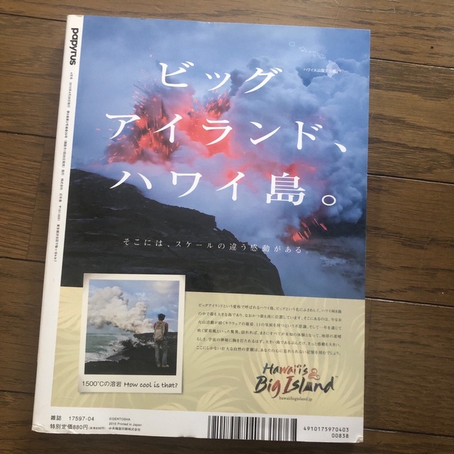 papyrus 2010.4月号　野田洋次郎特集 エンタメ/ホビーの雑誌(音楽/芸能)の商品写真