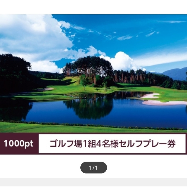 2枚】シャトレーゼ ゴルフ場 セルフプレー券 - ゴルフ場