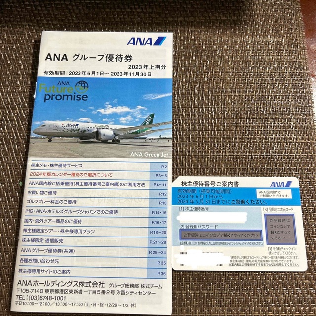 ANA(全日本空輸)(エーエヌエー(ゼンニッポンクウユ))のANA株主優待　冊子付き チケットの乗車券/交通券(航空券)の商品写真