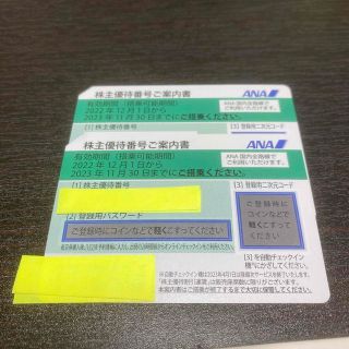 エーエヌエー(ゼンニッポンクウユ)(ANA(全日本空輸))のANA株式主優待券(航空券)