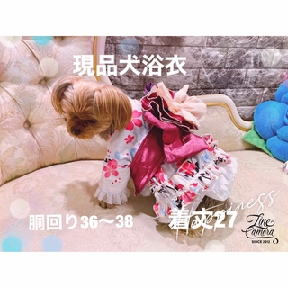 D35.pon2pan2☆rai様専用(ペット服/アクセサリー)