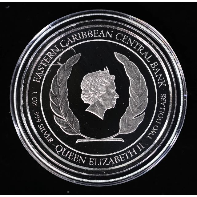 カリブ海 2022 - モントセラト ウミガメ 1オンス銀貨 500枚発行 エンタメ/ホビーの美術品/アンティーク(貨幣)の商品写真