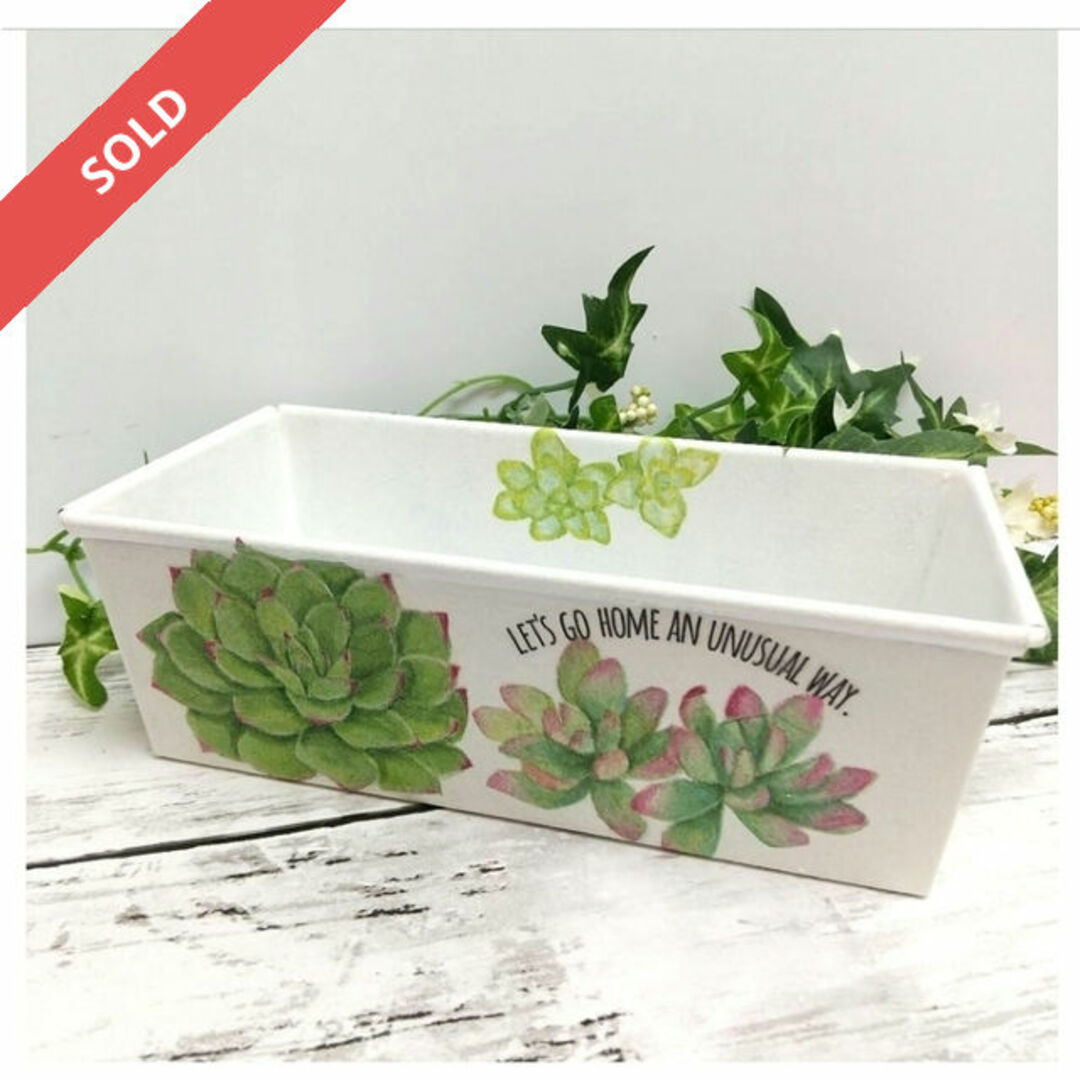 デコパージュ ꔛꕤ リメイク缶 SUCCULENTS*鉢カバー*小物入れ デコパージュ ꔛꕤ リメイク缶 SUCCULENTS*鉢カバー*小物入れ