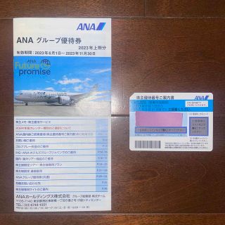 エーエヌエー(ゼンニッポンクウユ)(ANA(全日本空輸))のANA 全日空 株主優待 1枚(その他)