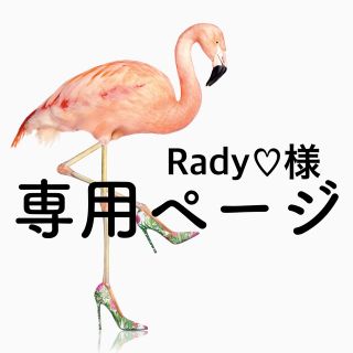 Radyさま専用　お弁当袋　コップ袋　4点オーダーご依頼(外出用品)