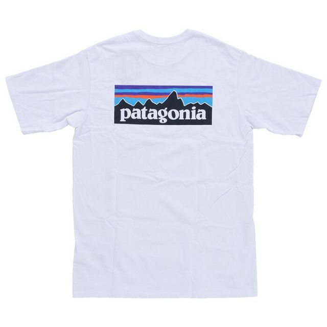 patagonia(パタゴニア)のパタゴニア  P-6 Logo Pocket Responsibili-T メンズのトップス(Tシャツ/カットソー(半袖/袖なし))の商品写真