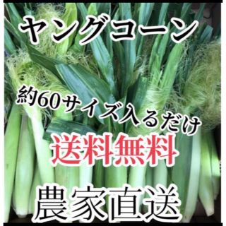 ネロ様専用　2箱、割引き！(野菜)