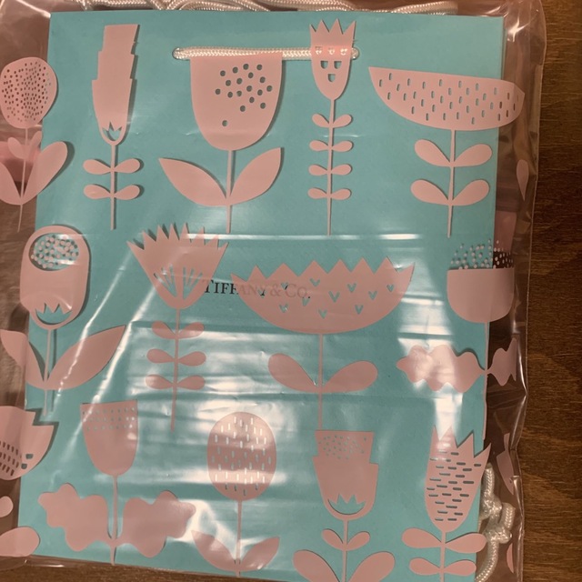Tiffany & Co.(ティファニー)の【新品未使用】ティファニー 紙袋×5 レディースのバッグ(ショップ袋)の商品写真
