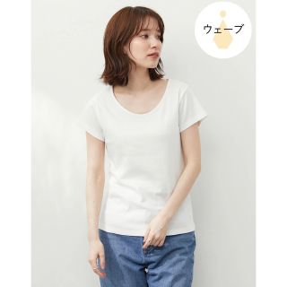 グリーンパークス(green parks)の新品未使用【骨格タイプ ウェーブ】Tシャツ(Tシャツ(半袖/袖なし))