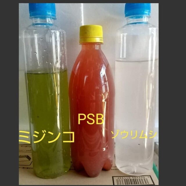 オオミジンコ飼育水　&　PSB(光合成細菌)　&　ゾウリムシ　。培養セット。メダ その他のペット用品(ペットフード)の商品写真