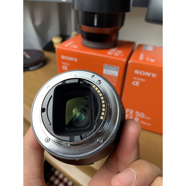 sony FE 85mm f1.8 + 50mm f2.8 macro