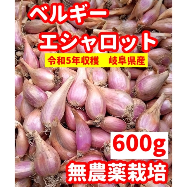 ぽっちゃり様専用★採れたて★ベルギーエシャロット【600g】✖️10セット 食品/飲料/酒の食品(野菜)の商品写真