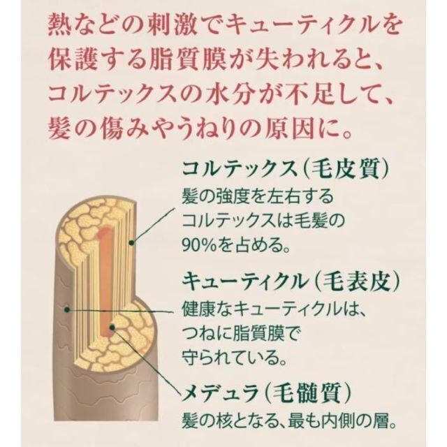 L'OCCITANE(ロクシタン)のロクシタン ファイブハーブス リペアリングヘアミルクセラム　100ml コスメ/美容のヘアケア/スタイリング(ヘアワックス/ヘアクリーム)の商品写真