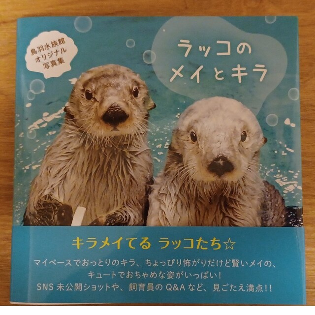 ラッコのメイとキラ　鳥羽水族館オリジナル写真集 エンタメ/ホビーの本(絵本/児童書)の商品写真