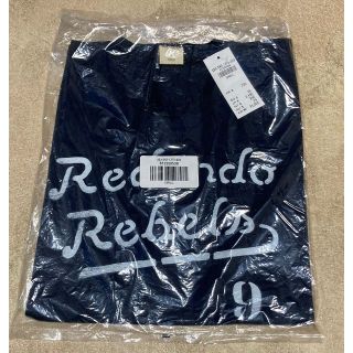 ホリスター(Hollister)の【新品】Hollister ホリスター Tシャツ S(Tシャツ/カットソー(半袖/袖なし))