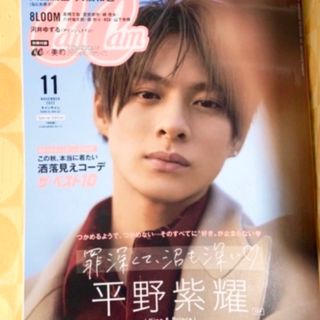 キングアンドプリンス(King & Prince)の 平野紫耀☆ CanCam (キャンキャン) 2022年 11月号(アート/エンタメ/ホビー)