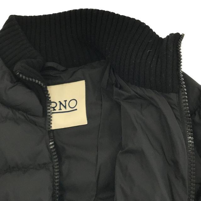 HERNO(ヘルノ)のHERNO / ヘルノ | POLAR-TECH ポーラーテック リブ 切替 ロング ダウンコート | 38 | ブラック | レディース レディースのジャケット/アウター(その他)の商品写真