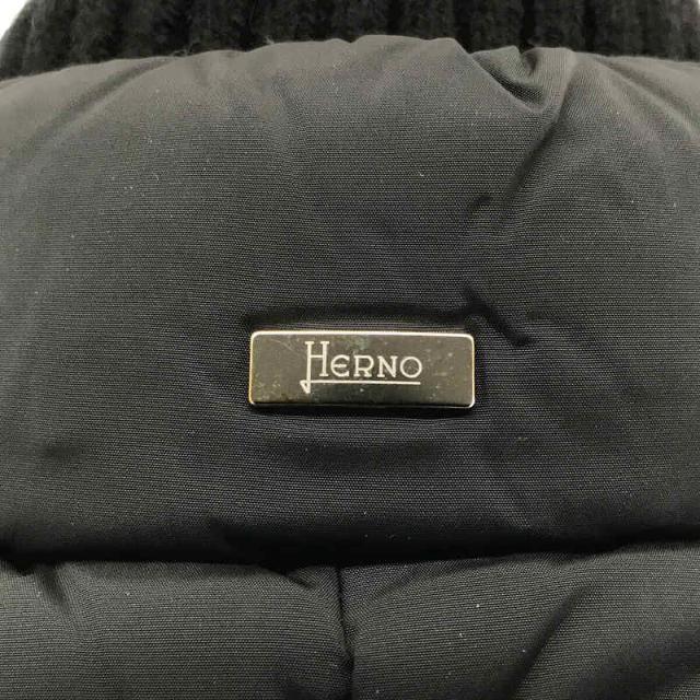 HERNO(ヘルノ)のHERNO / ヘルノ | POLAR-TECH ポーラーテック リブ 切替 ロング ダウンコート | 38 | ブラック | レディース レディースのジャケット/アウター(その他)の商品写真