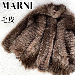 未使用】MARNI ファージャケット 40 ブラック | parceiraoatacadista